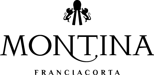 cropped MONTINA logo nero.png
