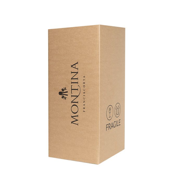 box montina antishock magum