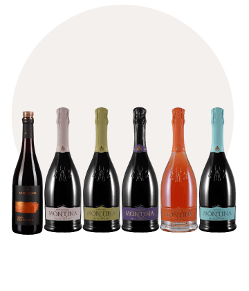 box sei bottiglie montina franciacorta