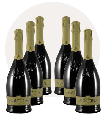 franciacorta EXRA brut DOCG 6 bottiglie