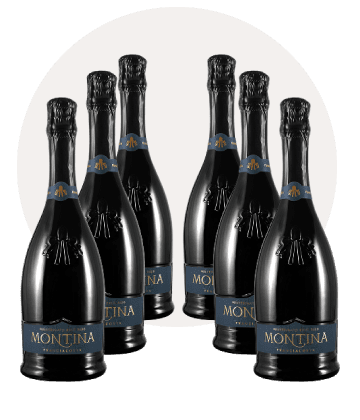 franciacorta Millesimato brut 6 bottiglie