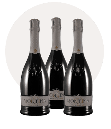 franciacorta brut DOCG 3 bottiglie